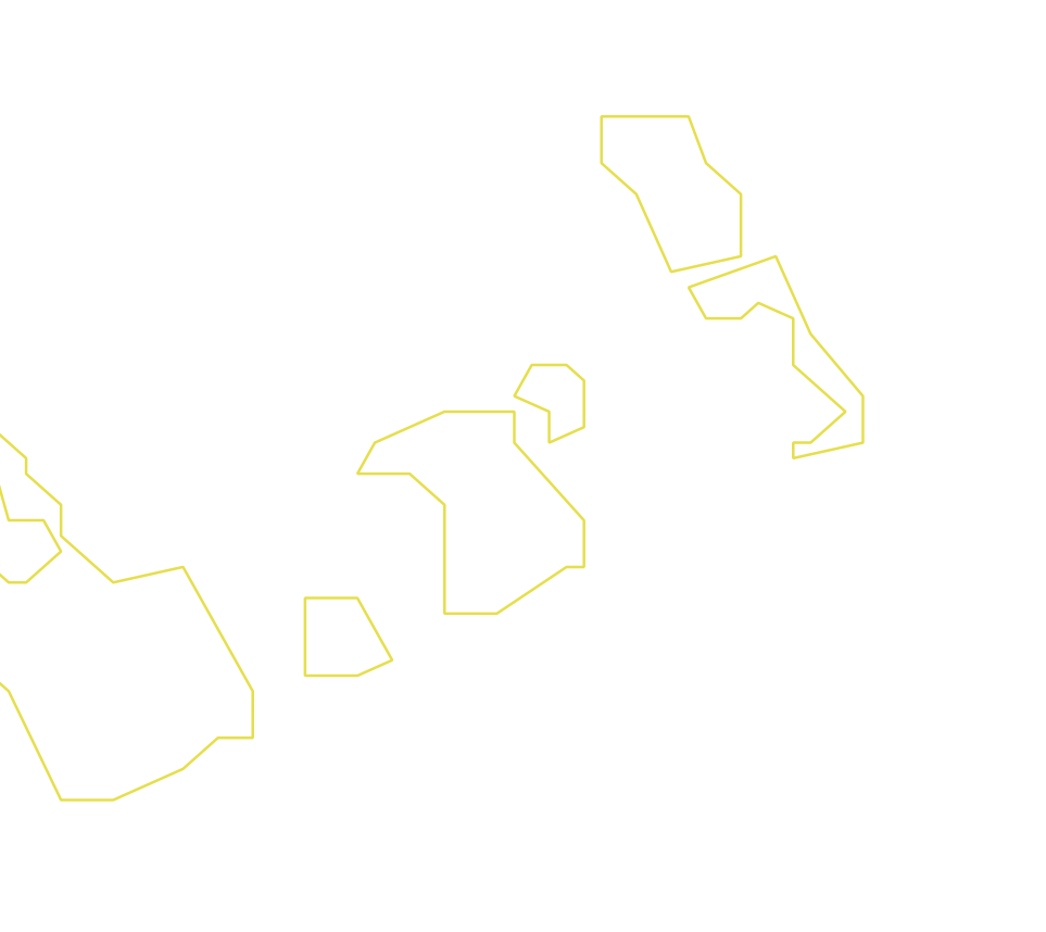 Daksegment ingezoomd met contourlijnen en structuurweergave