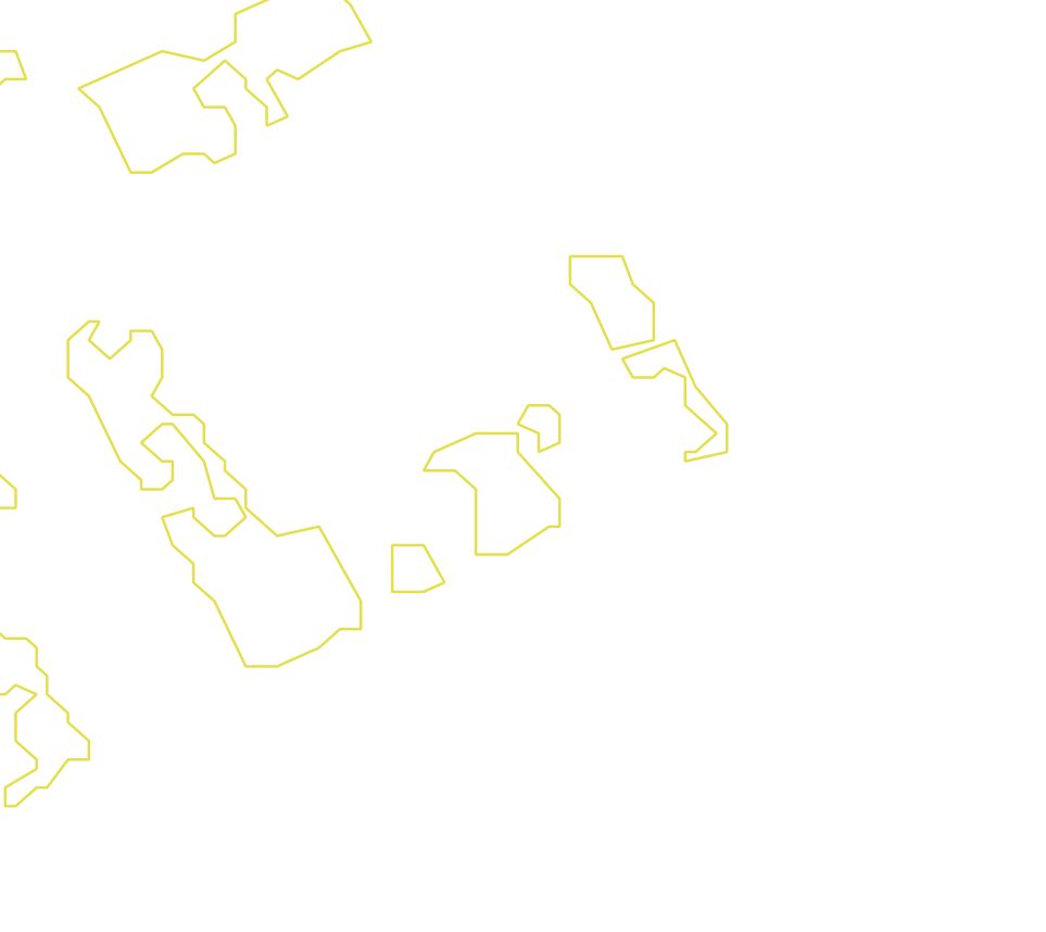 Daksegment met contourlijnen en structuurweergave