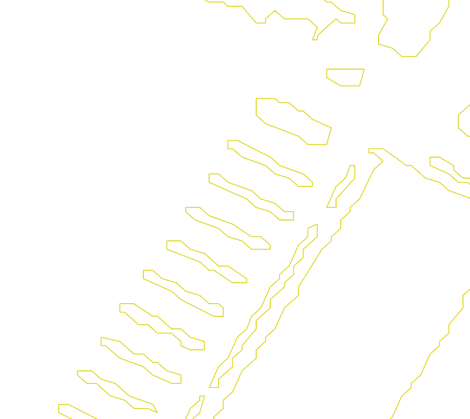 Daksegment met contourlijnen en structuurweergave