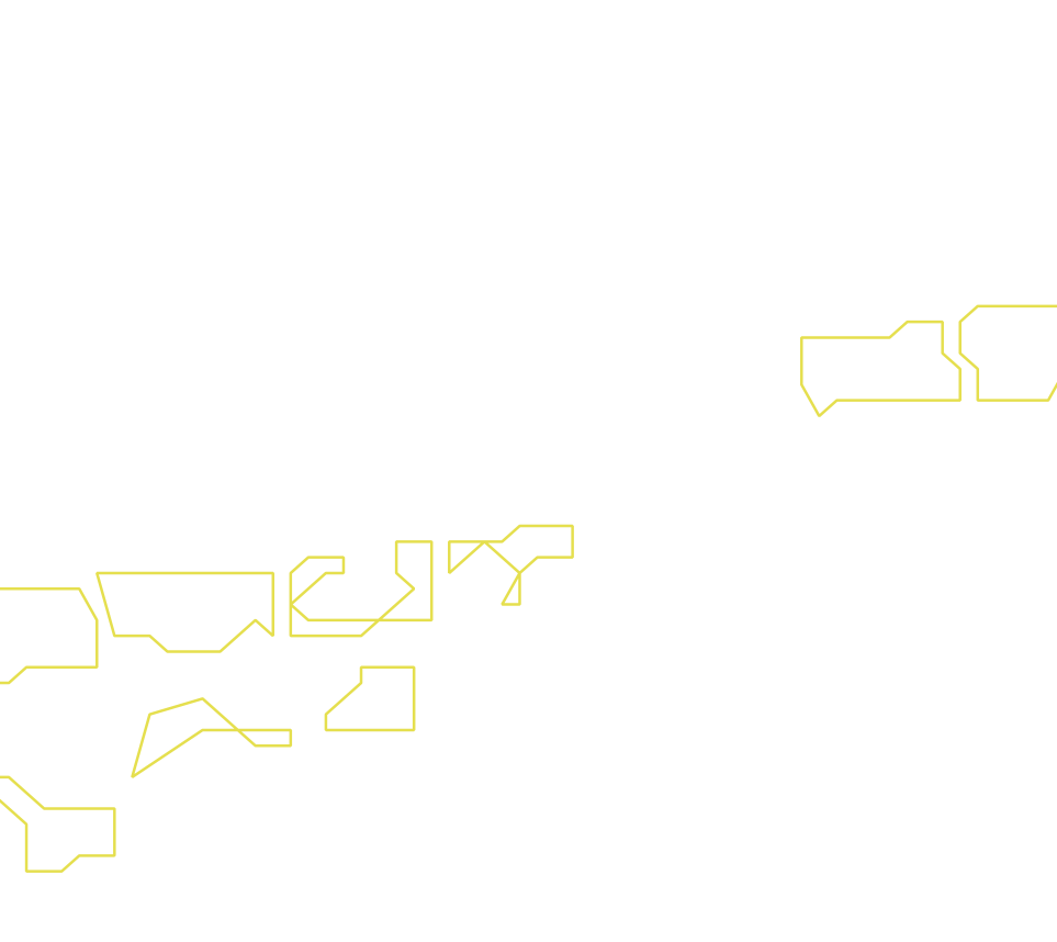Daksegment ingezoomd met contourlijnen en structuurweergave