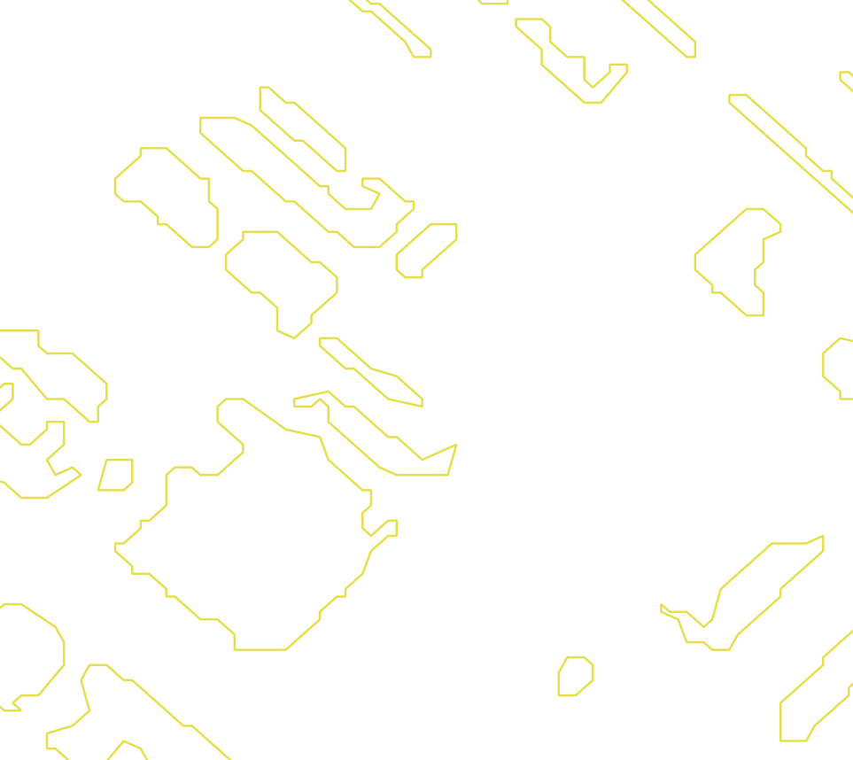 Daksegment met contourlijnen en structuurweergave