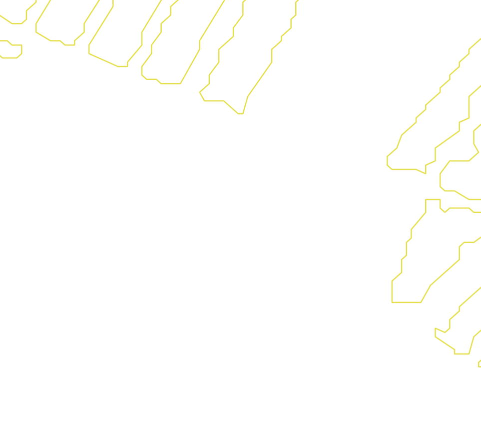 Daksegment met contourlijnen en structuurweergave