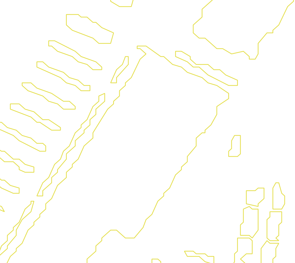 Daksegment met contourlijnen en structuurweergave