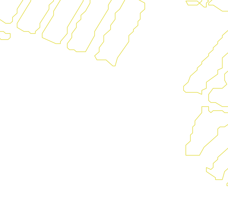 Daksegment met contourlijnen en structuurweergave