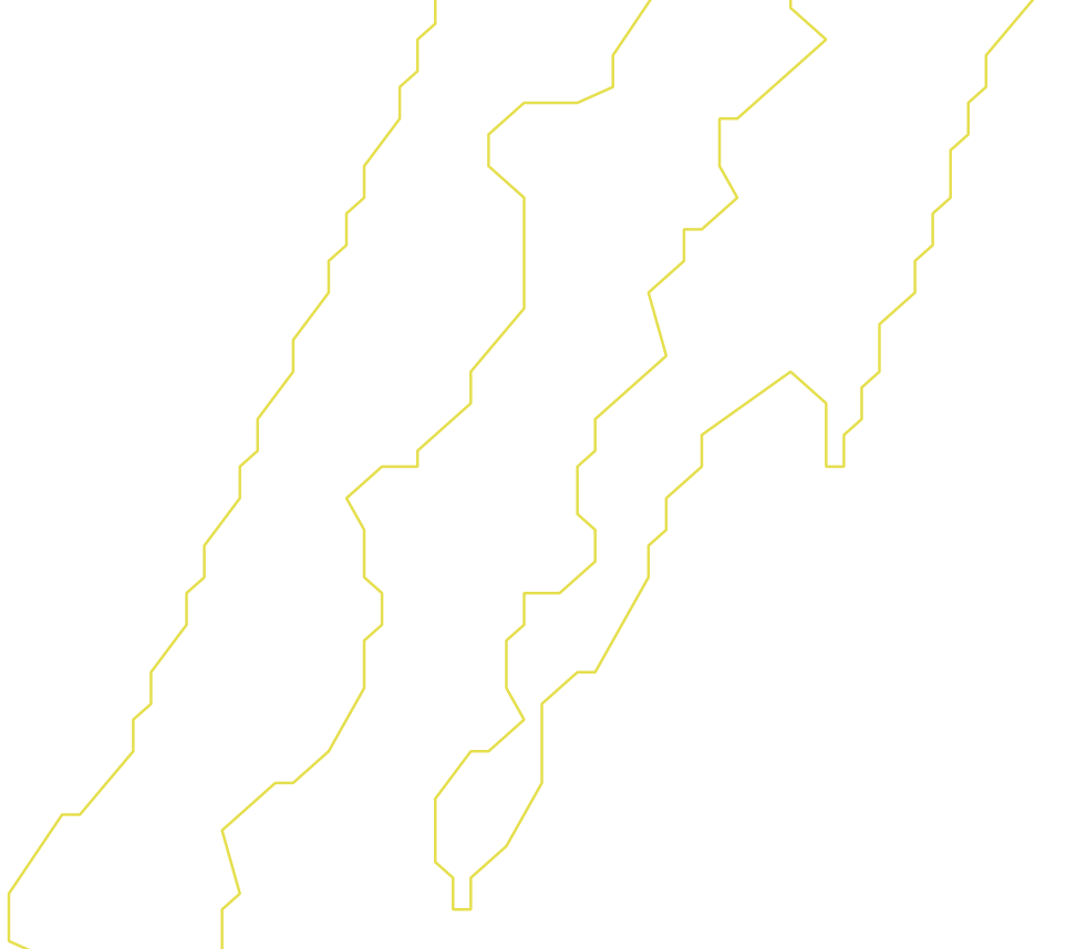 Daksegment ingezoomd met contourlijnen en structuurweergave
