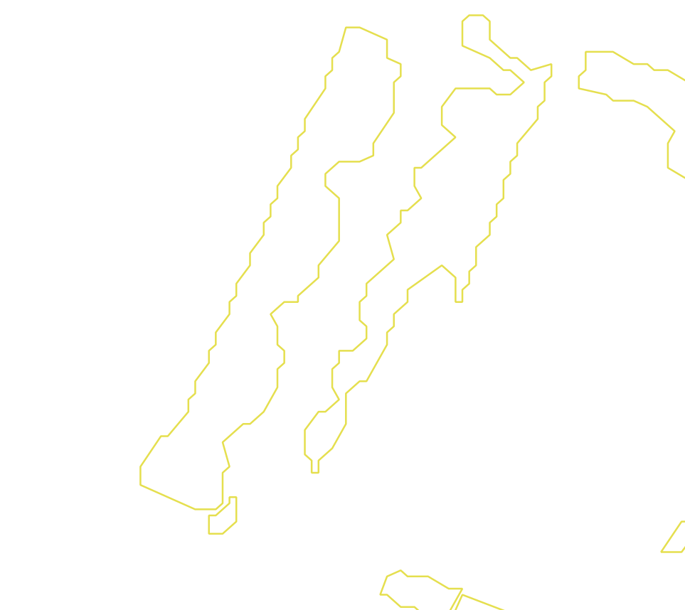 Daksegment met contourlijnen en structuurweergave
