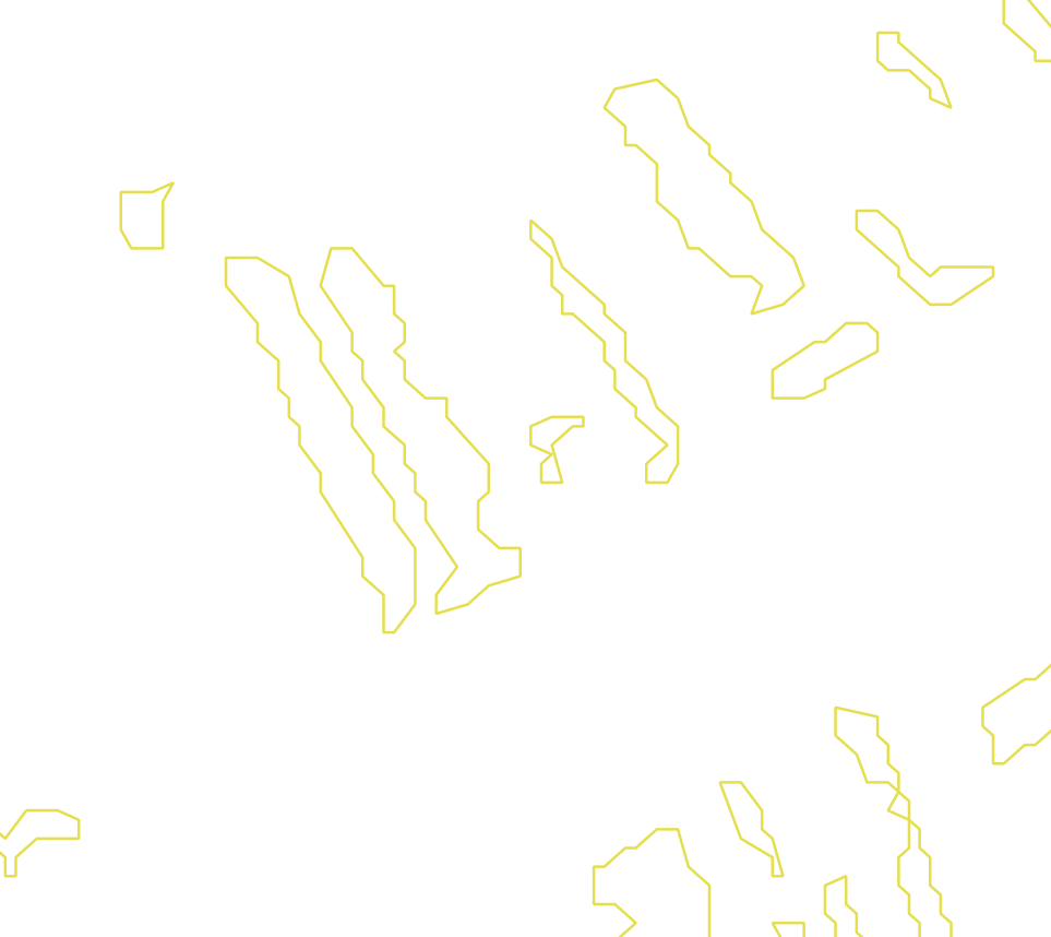 Daksegment met contourlijnen en structuurweergave