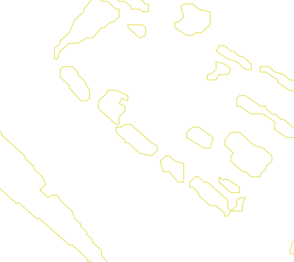 Daksegment met contourlijnen en structuurweergave