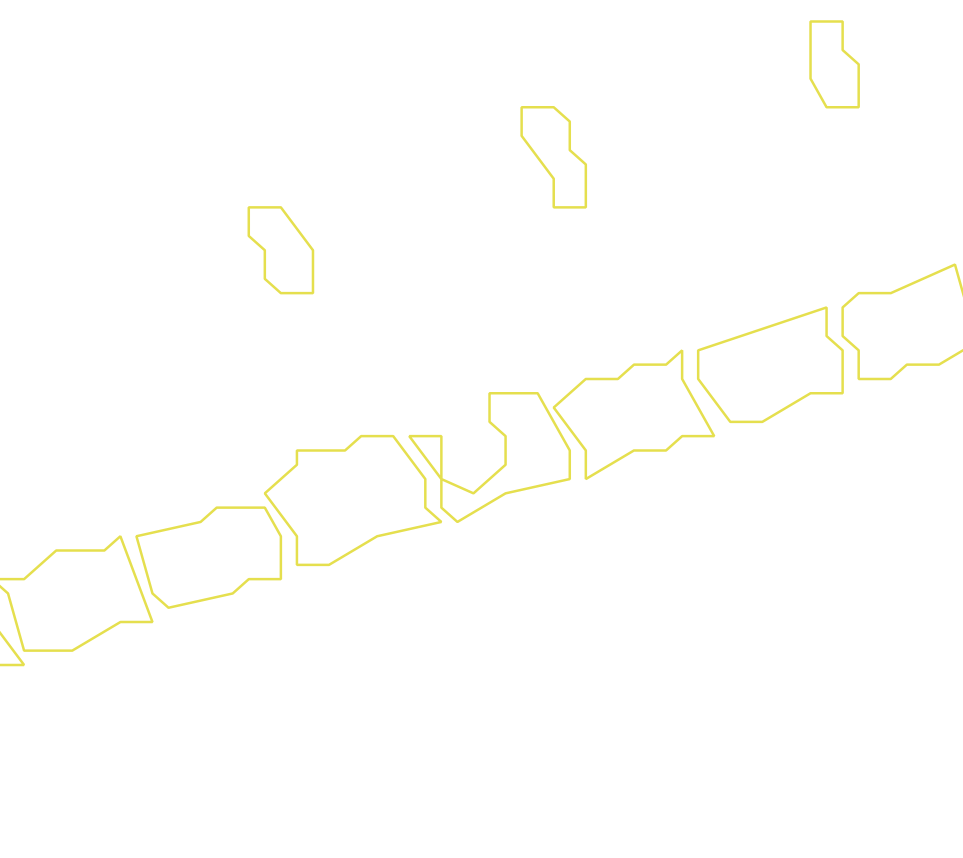 Daksegment ingezoomd met contourlijnen en structuurweergave