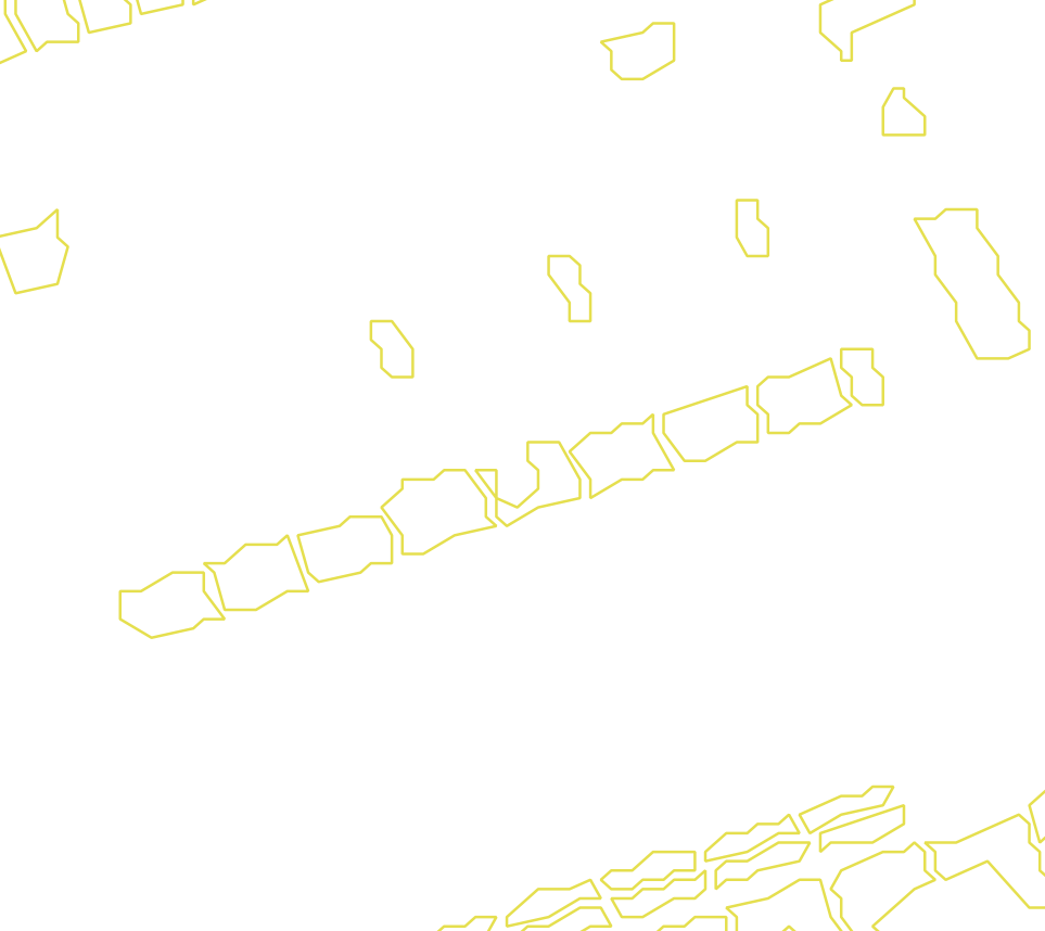 Daksegment met contourlijnen en structuurweergave