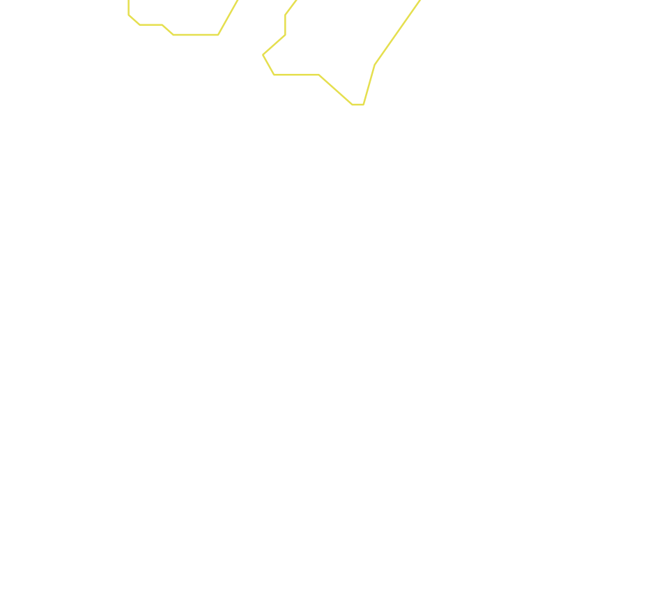 Daksegment ingezoomd met contourlijnen en structuurweergave