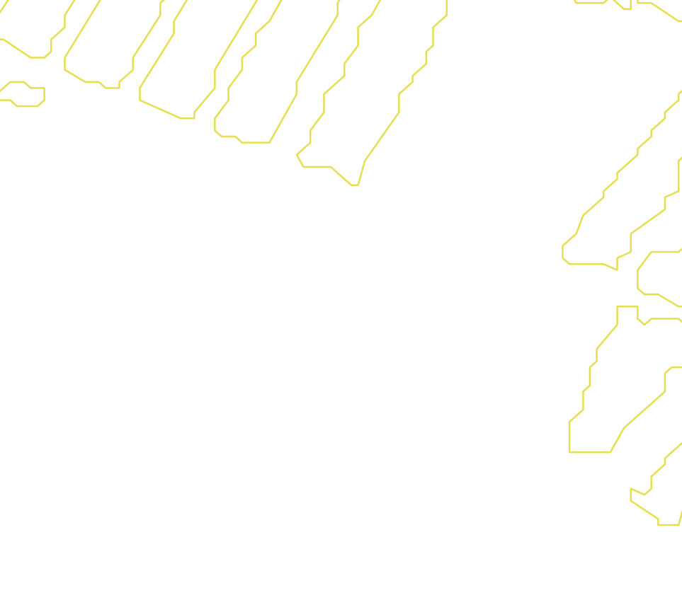 Daksegment met contourlijnen en structuurweergave