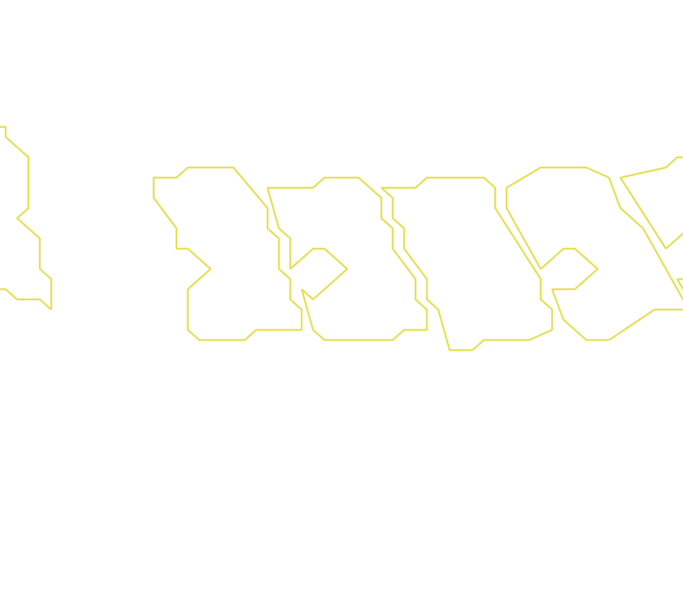 Daksegment ingezoomd met contourlijnen en structuurweergave