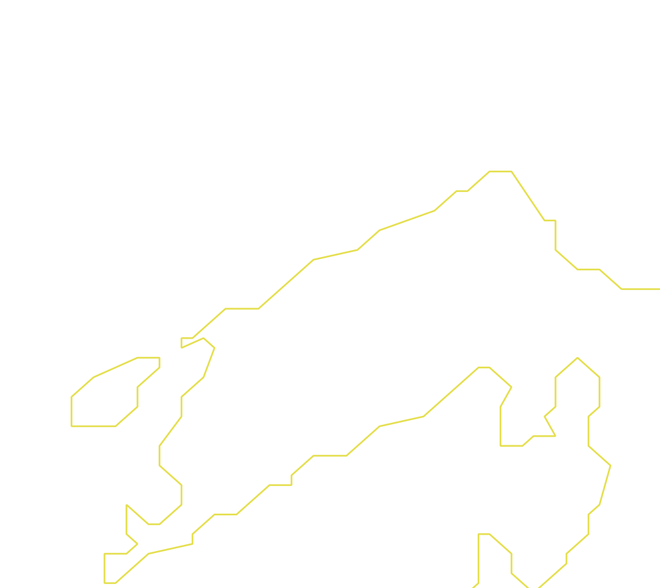 Daksegment ingezoomd met contourlijnen en structuurweergave