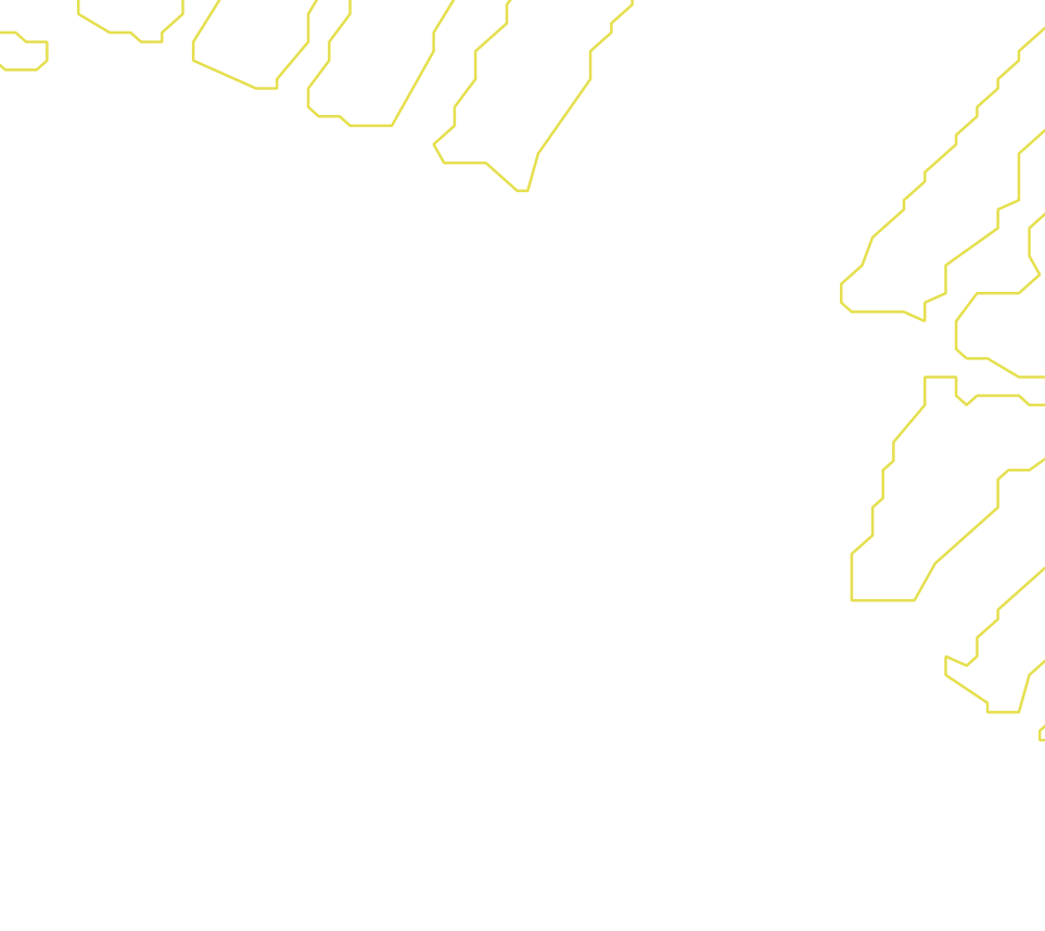 Daksegment met contourlijnen en structuurweergave