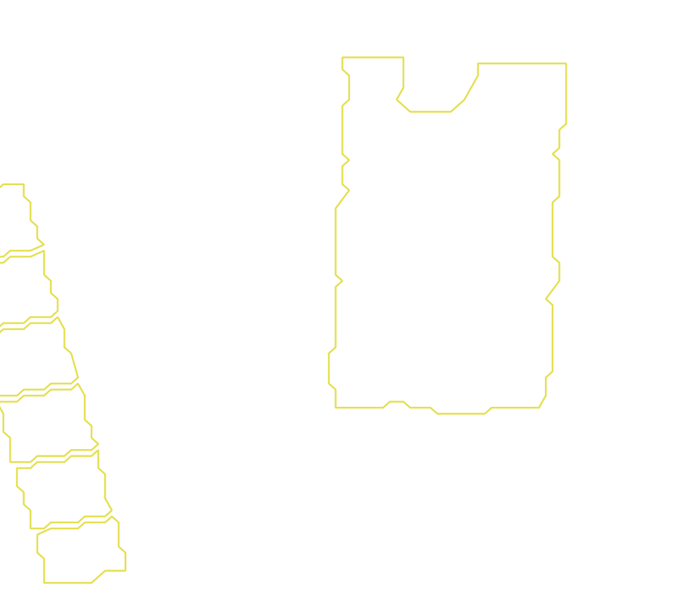 Daksegment met contourlijnen en structuurweergave