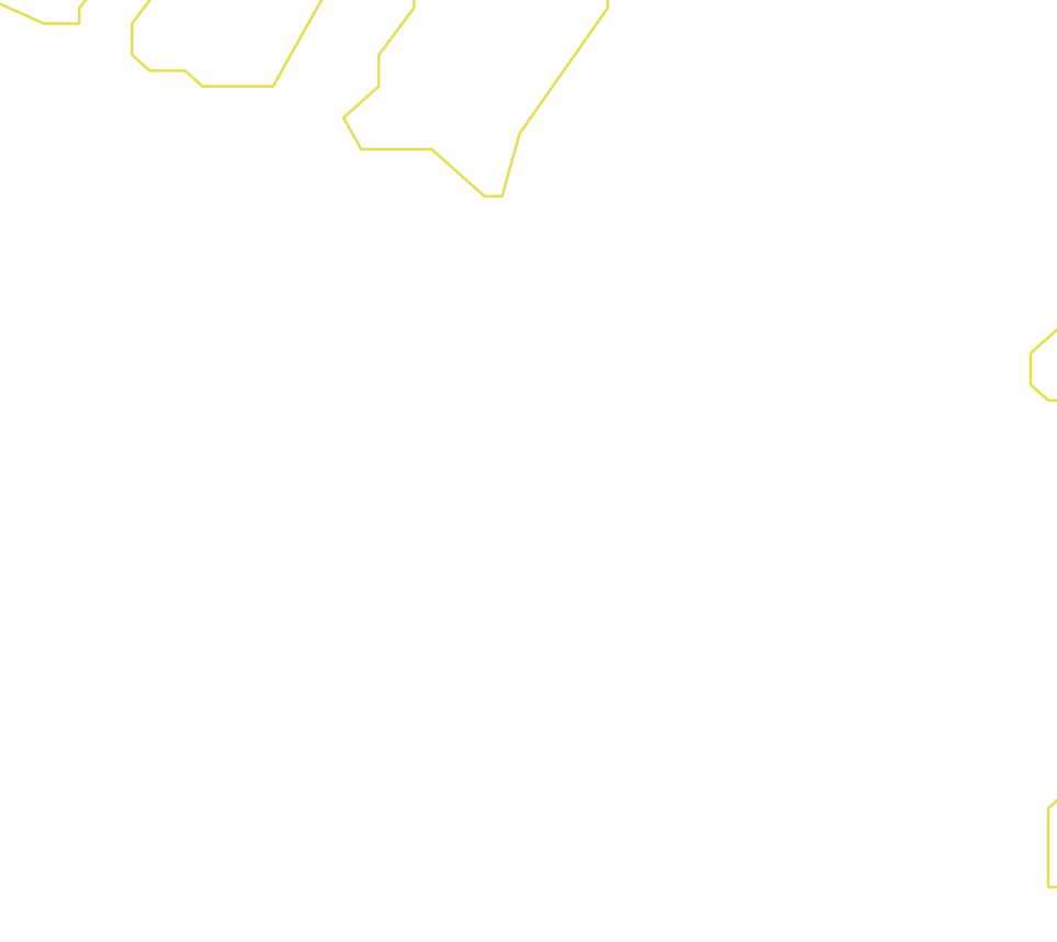 Daksegment ingezoomd met contourlijnen en structuurweergave