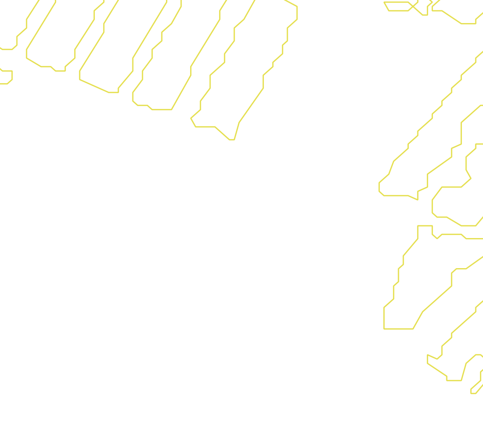 Daksegment met contourlijnen en structuurweergave