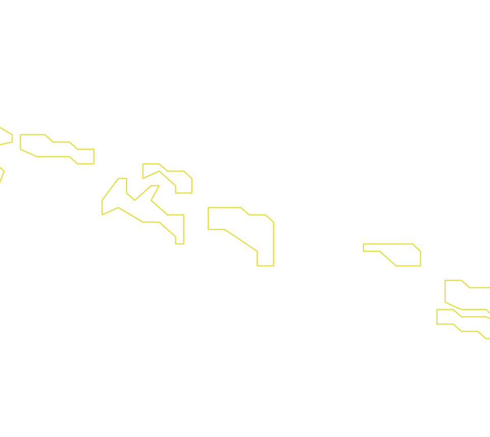 Daksegment ingezoomd met contourlijnen en structuurweergave