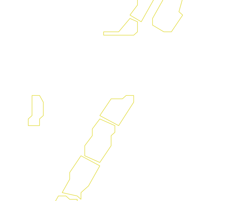 Daksegment ingezoomd met contourlijnen en structuurweergave