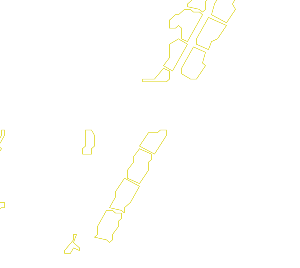 Daksegment met contourlijnen en structuurweergave