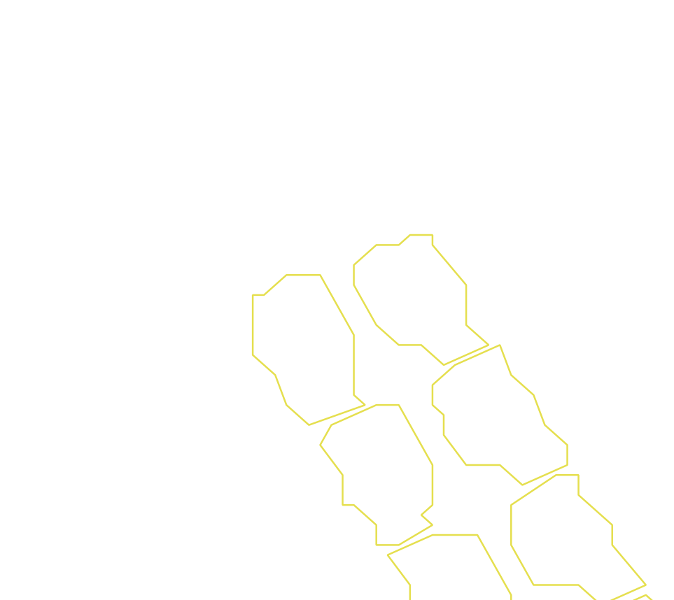 Daksegment ingezoomd met contourlijnen en structuurweergave