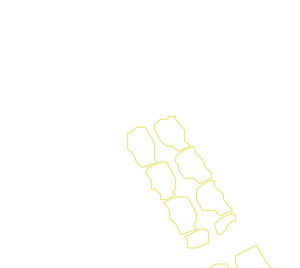 Daksegment met contourlijnen en structuurweergave