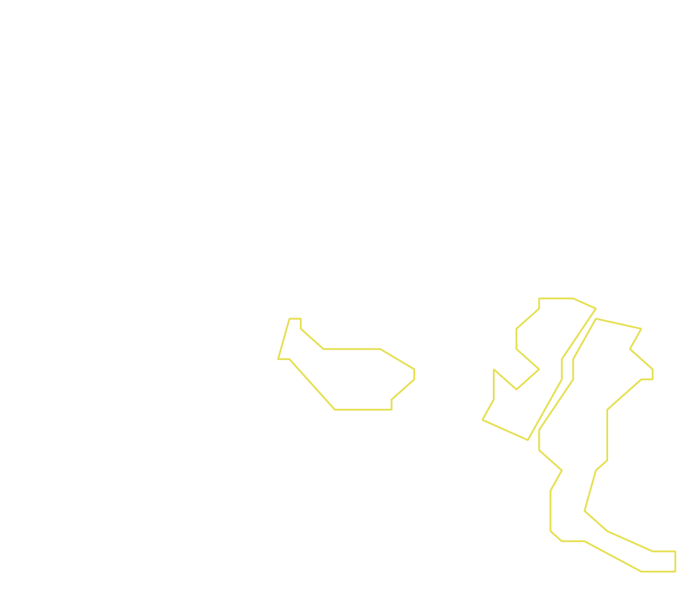 Daksegment ingezoomd met contourlijnen en structuurweergave