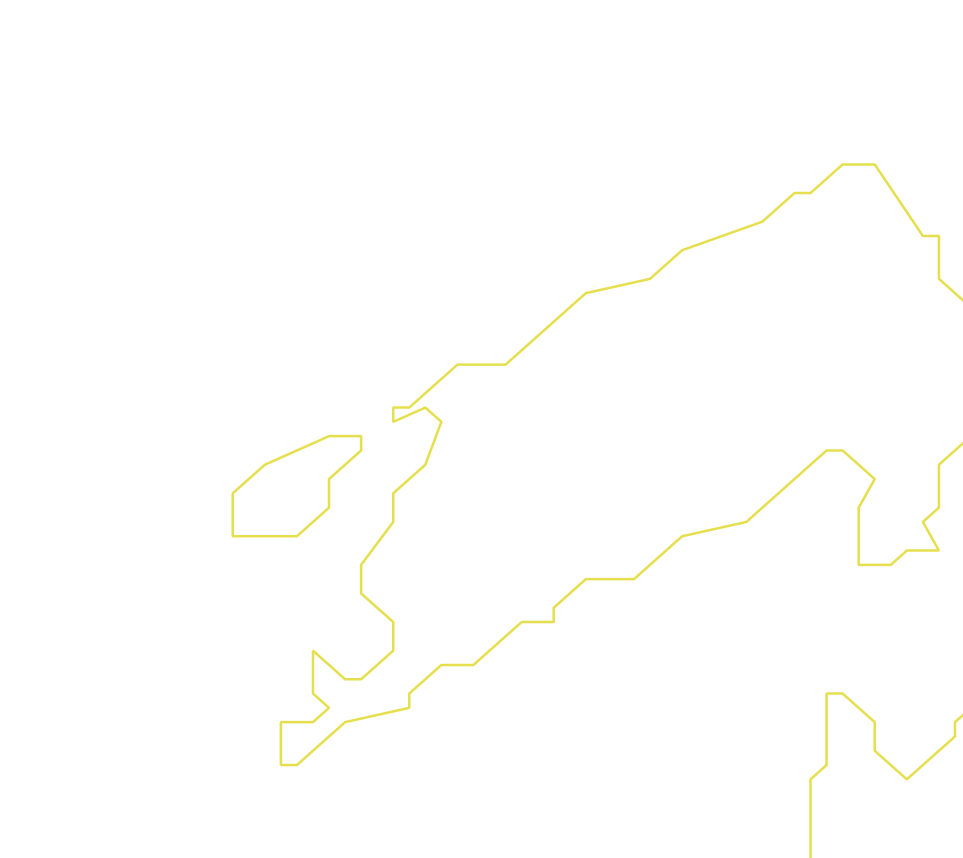 Daksegment ingezoomd met contourlijnen en structuurweergave