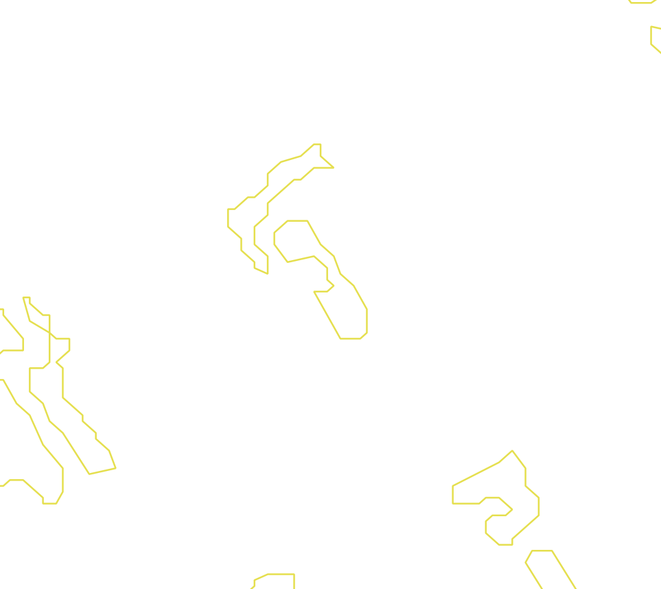 Daksegment met contourlijnen en structuurweergave