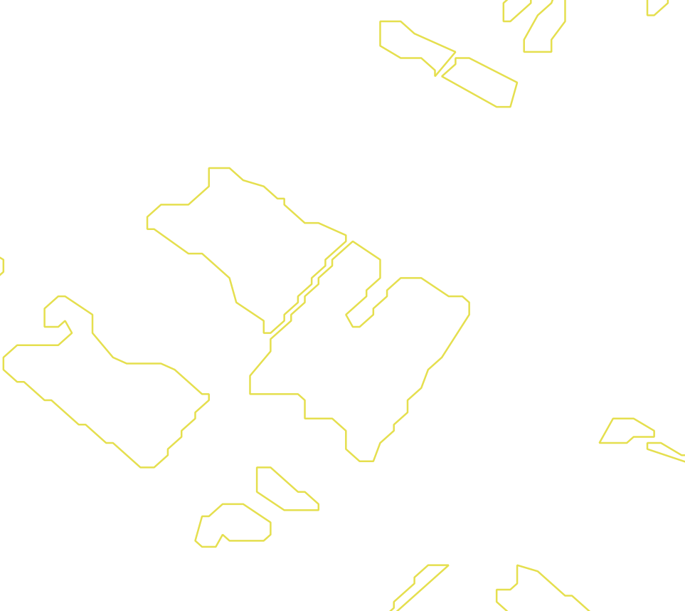 Daksegment met contourlijnen en structuurweergave