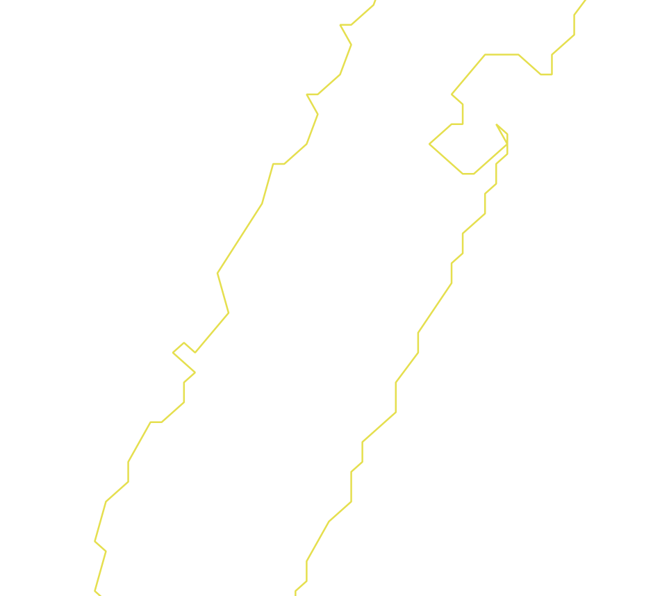 Daksegment ingezoomd met contourlijnen en structuurweergave