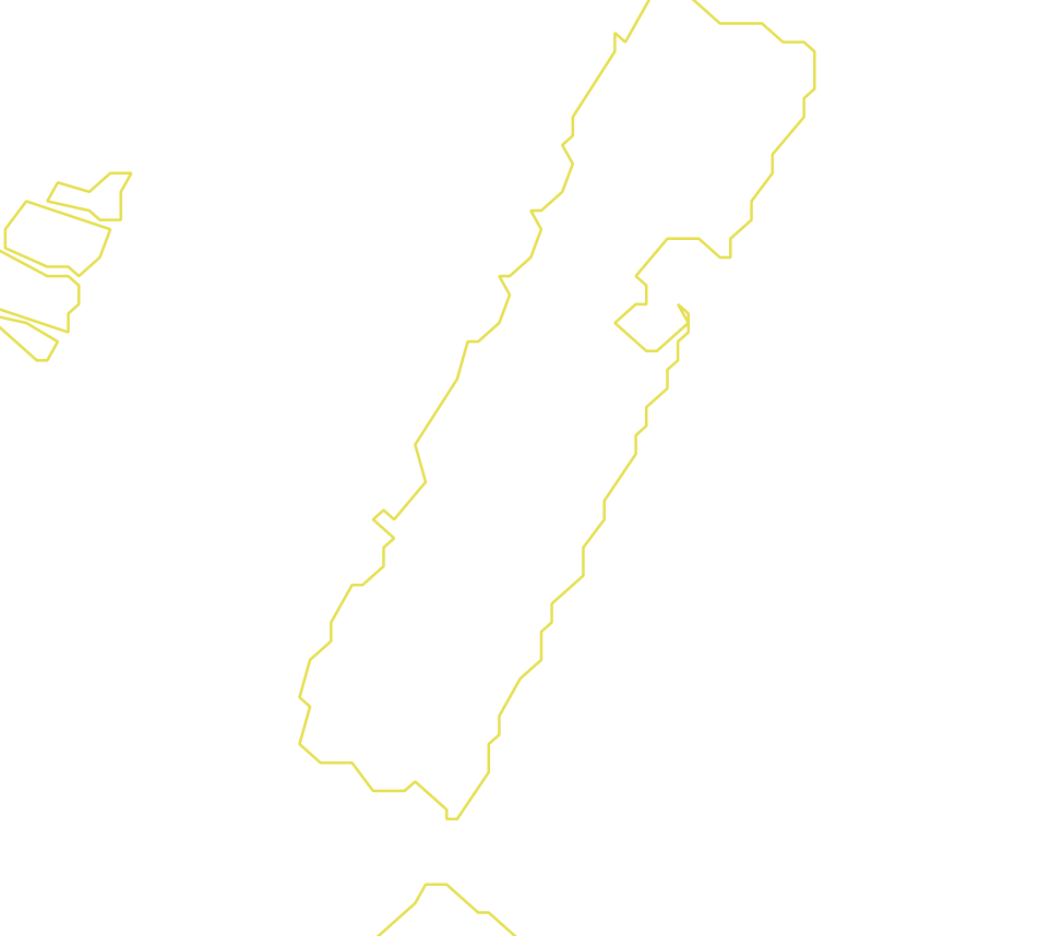Daksegment met contourlijnen en structuurweergave