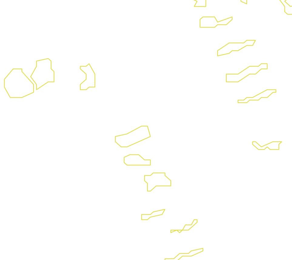 Daksegment met contourlijnen en structuurweergave
