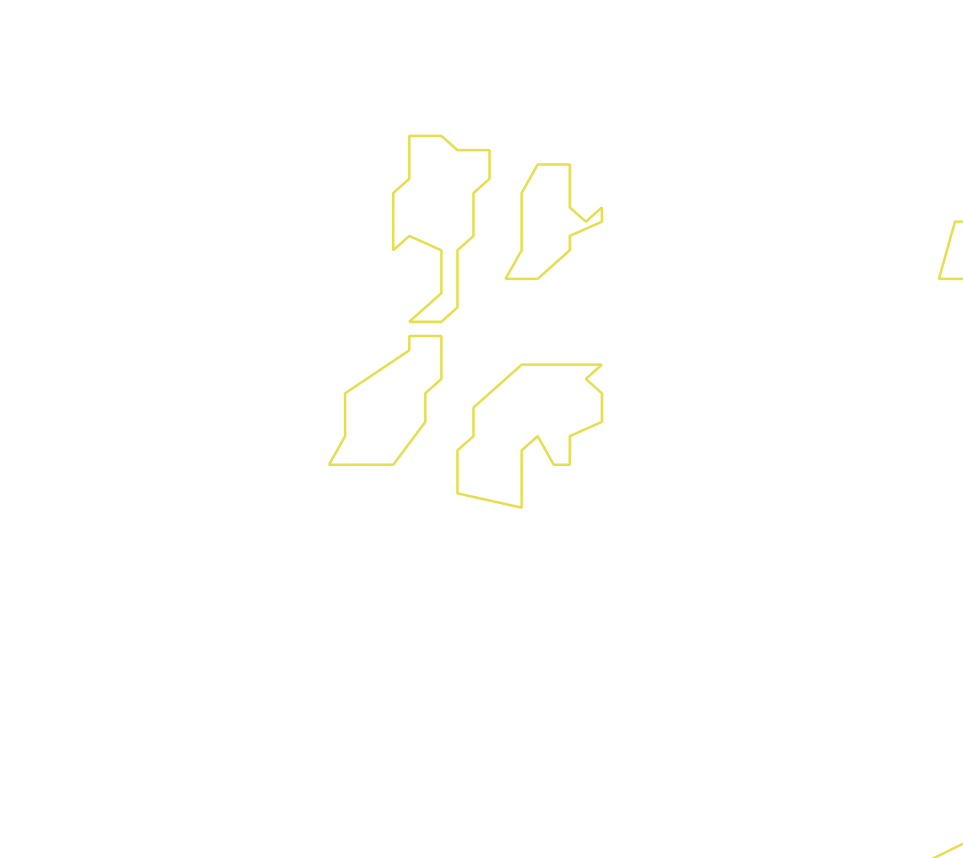 Daksegment ingezoomd met contourlijnen en structuurweergave