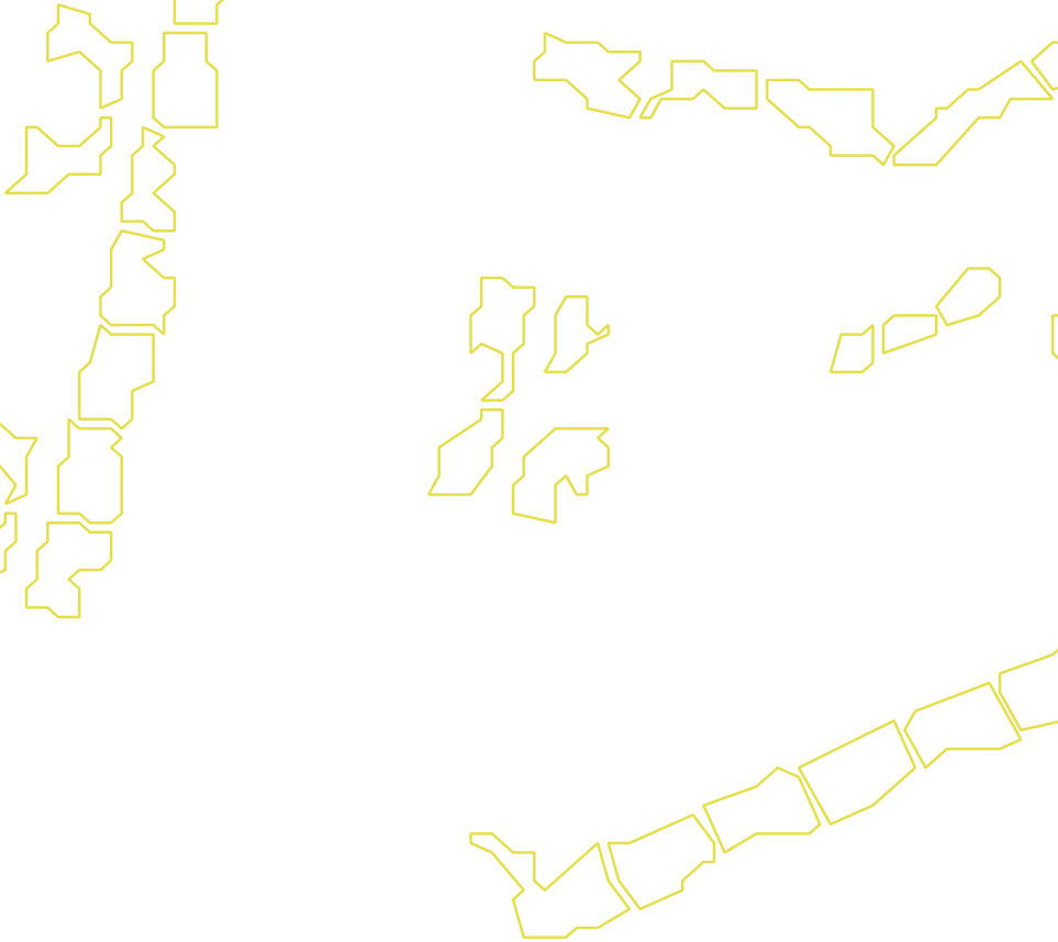 Daksegment met contourlijnen en structuurweergave