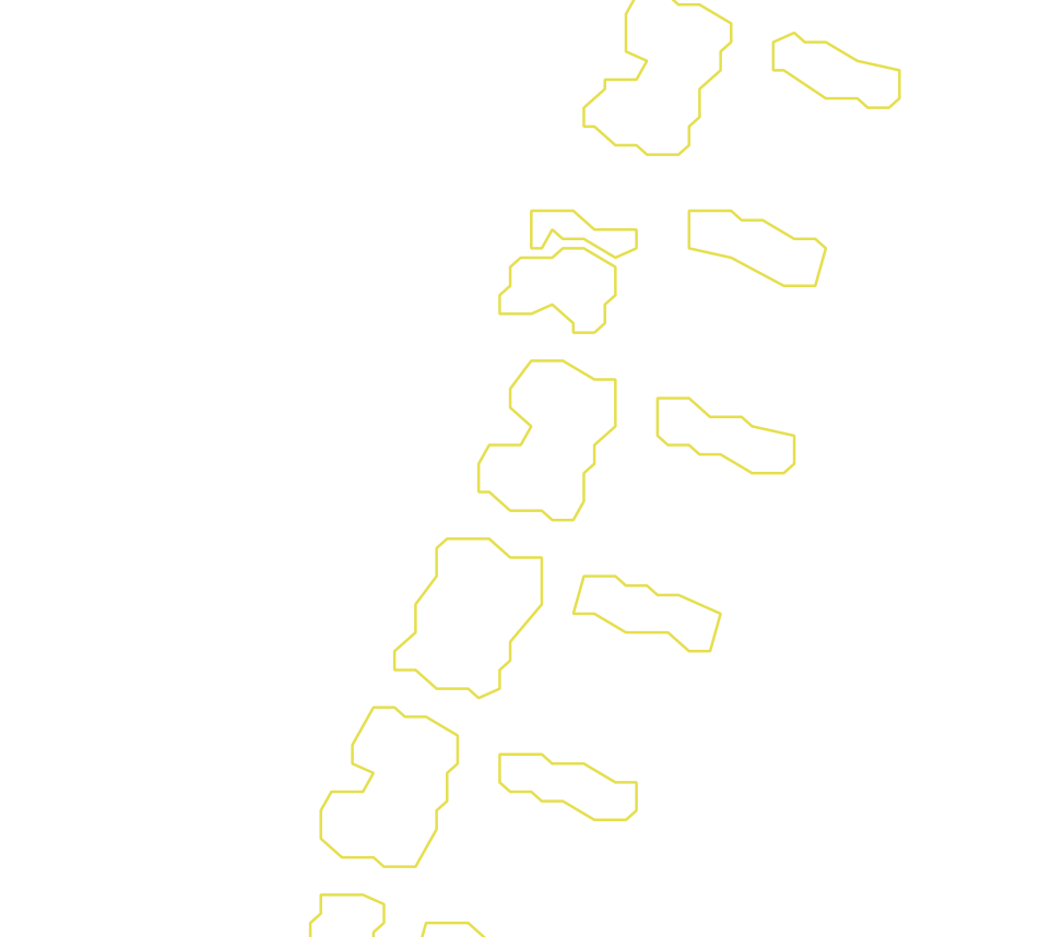 Daksegment met contourlijnen en structuurweergave