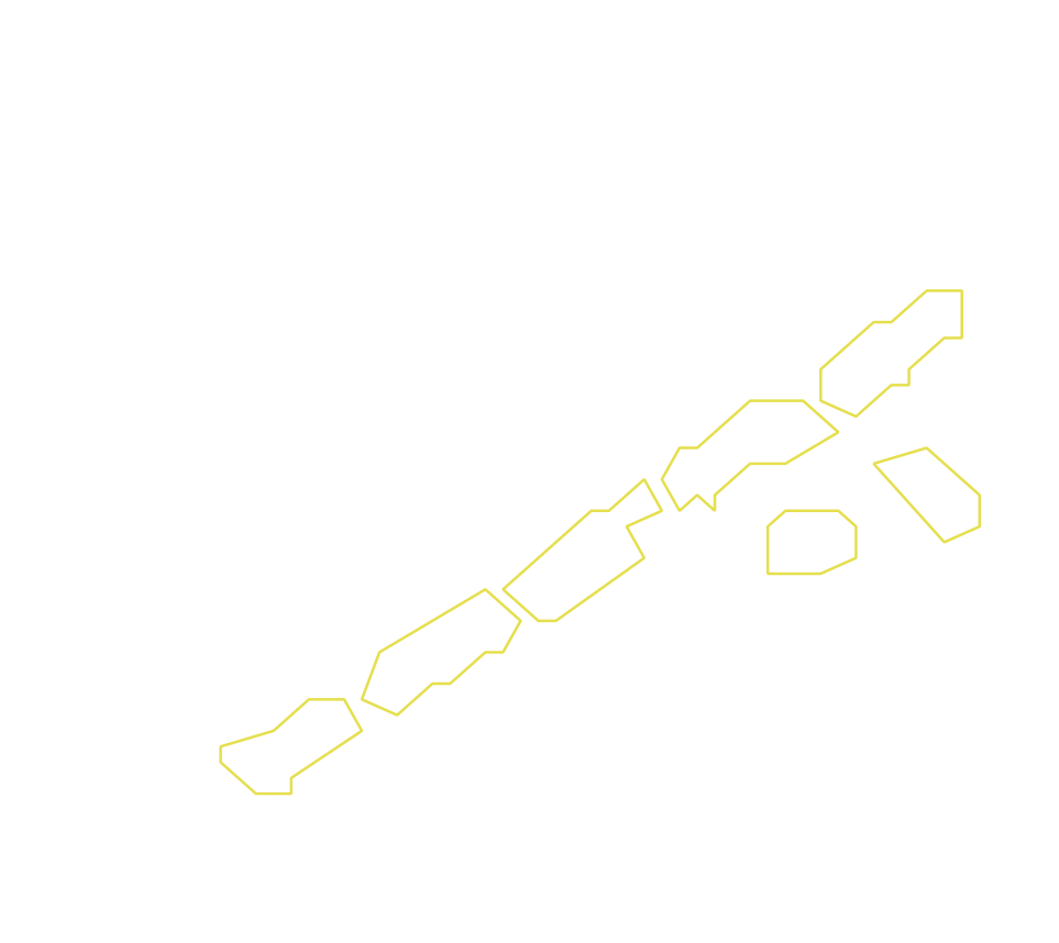 Daksegment ingezoomd met contourlijnen en structuurweergave