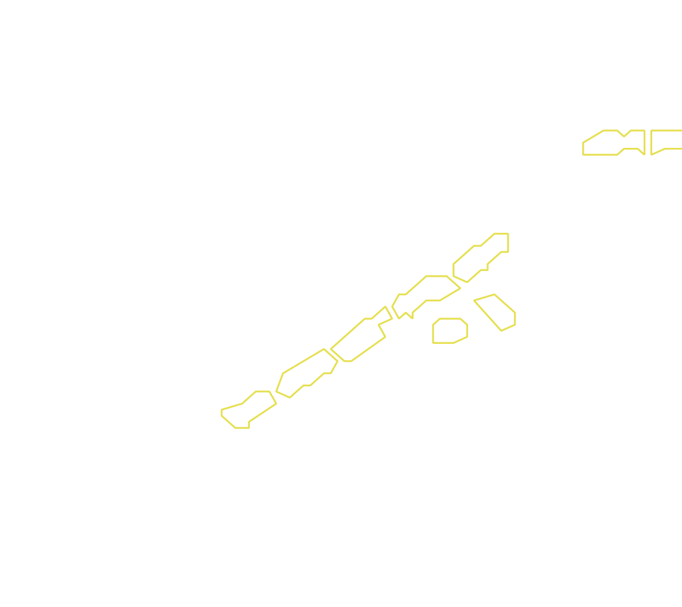 Daksegment met contourlijnen en structuurweergave