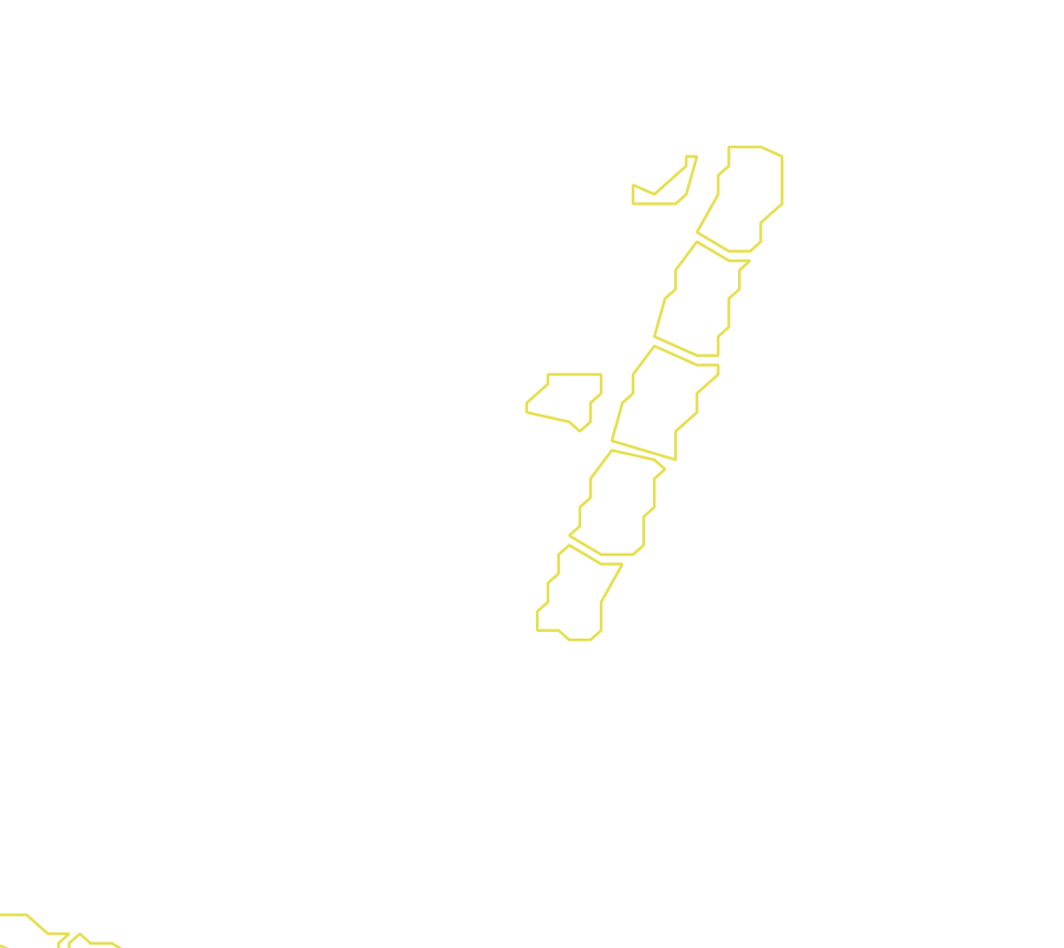 Daksegment met contourlijnen en structuurweergave