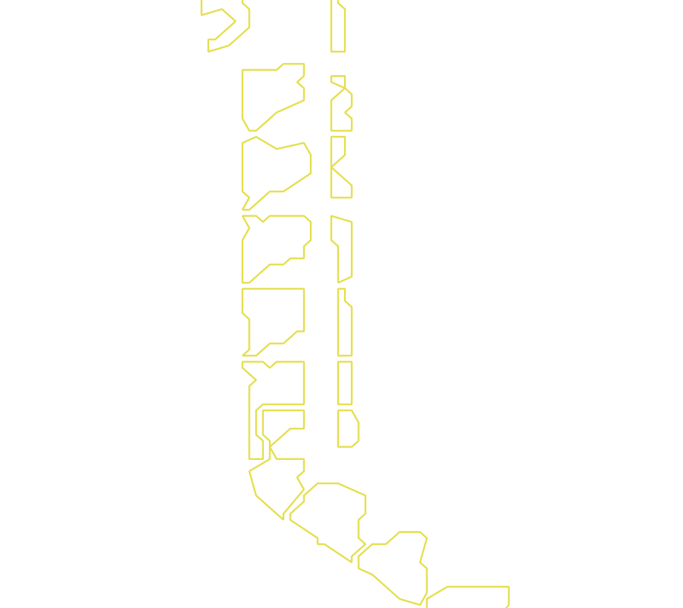 Daksegment met contourlijnen en structuurweergave