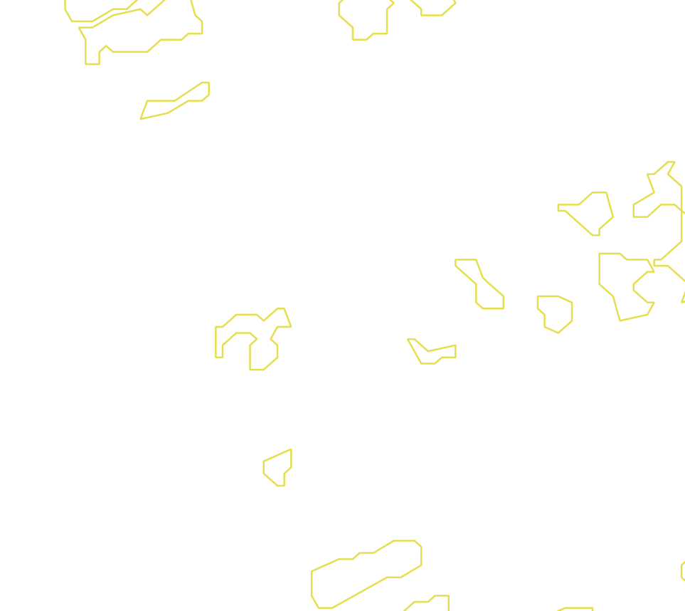 Daksegment met contourlijnen en structuurweergave