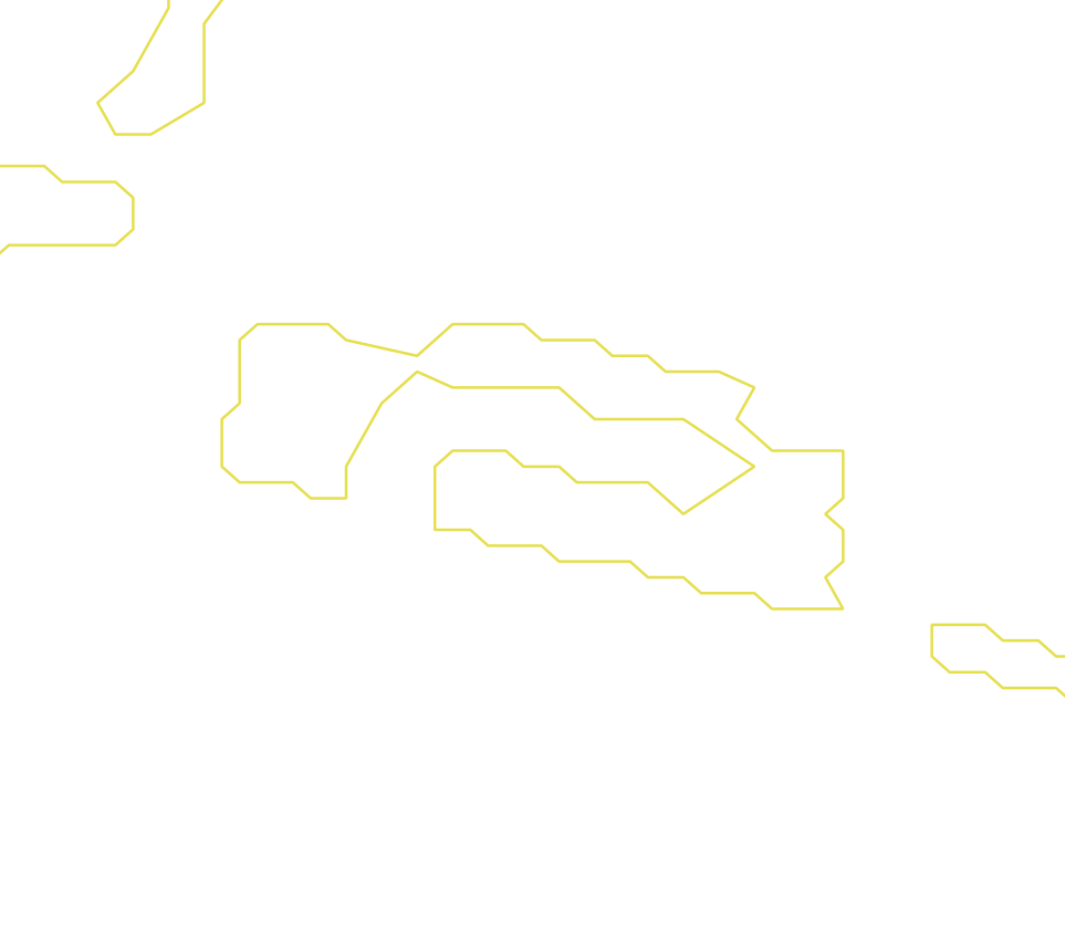 Daksegment ingezoomd met contourlijnen en structuurweergave