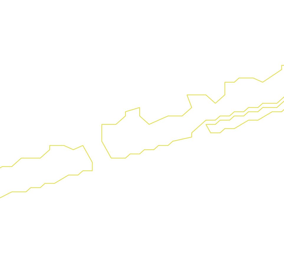 Daksegment ingezoomd met contourlijnen en structuurweergave