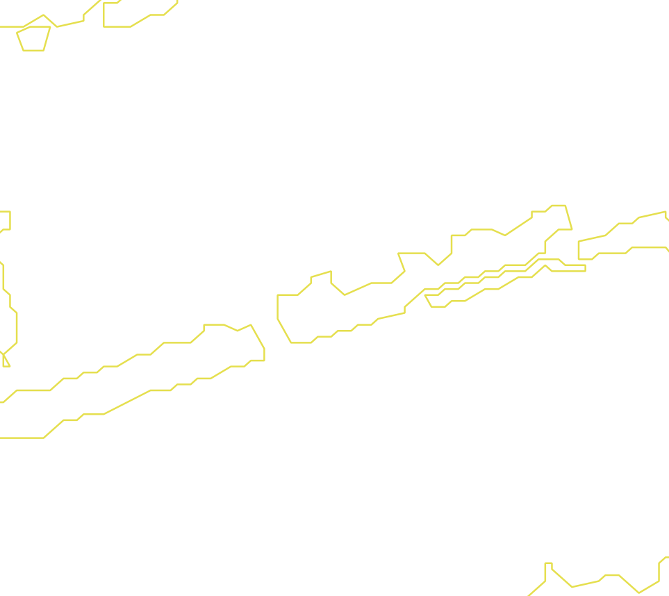 Daksegment met contourlijnen en structuurweergave