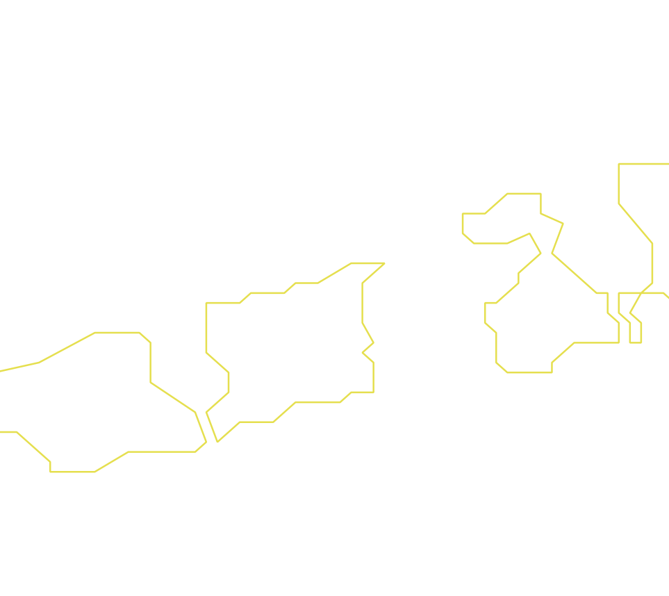 Daksegment ingezoomd met contourlijnen en structuurweergave