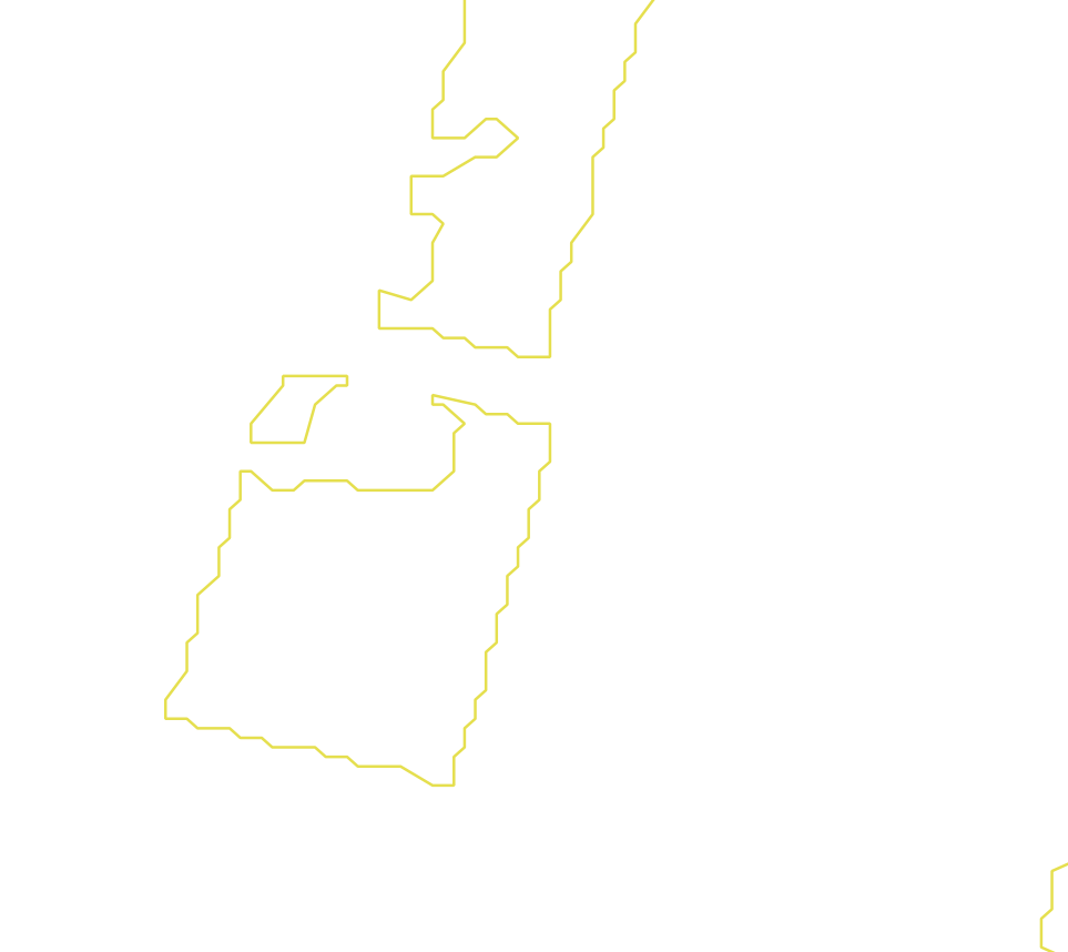 Daksegment met contourlijnen en structuurweergave