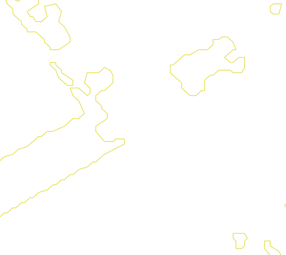 Daksegment met contourlijnen en structuurweergave
