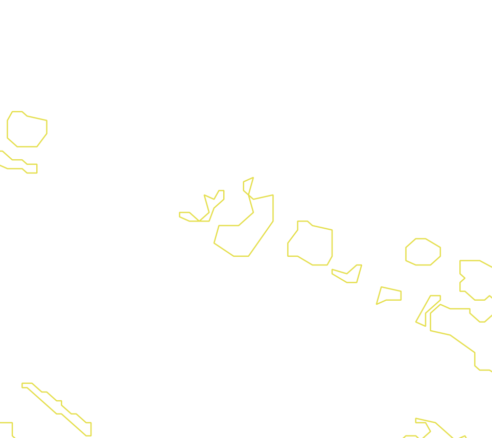 Daksegment met contourlijnen en structuurweergave
