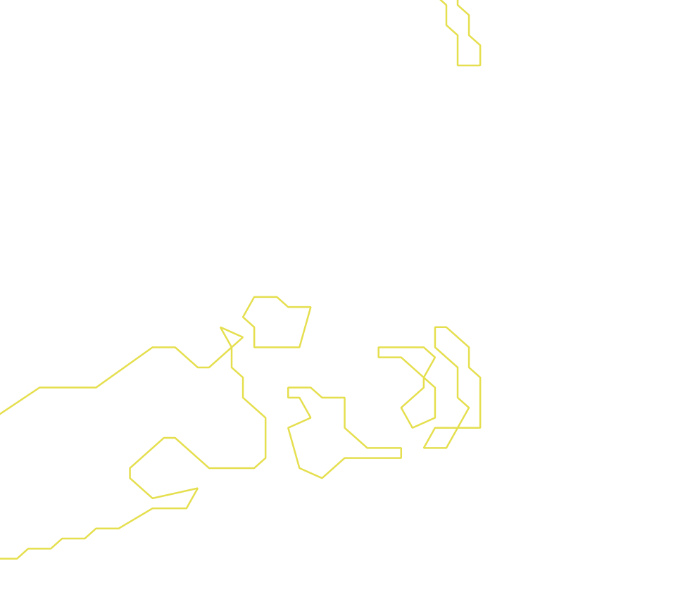 Daksegment ingezoomd met contourlijnen en structuurweergave